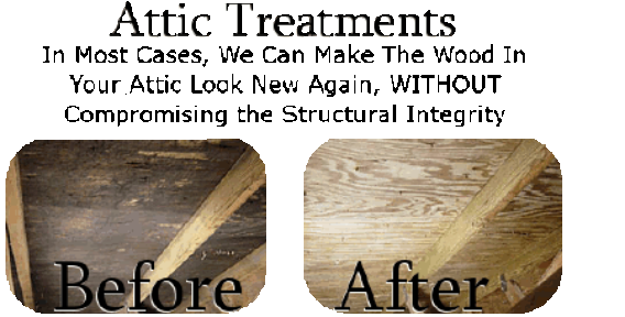 Mold Removal And Abatement Attic Mold Abatement Customer